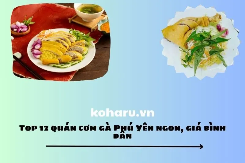 Top 12 quán cơm gà Phú Yên ngon, giá bình dân