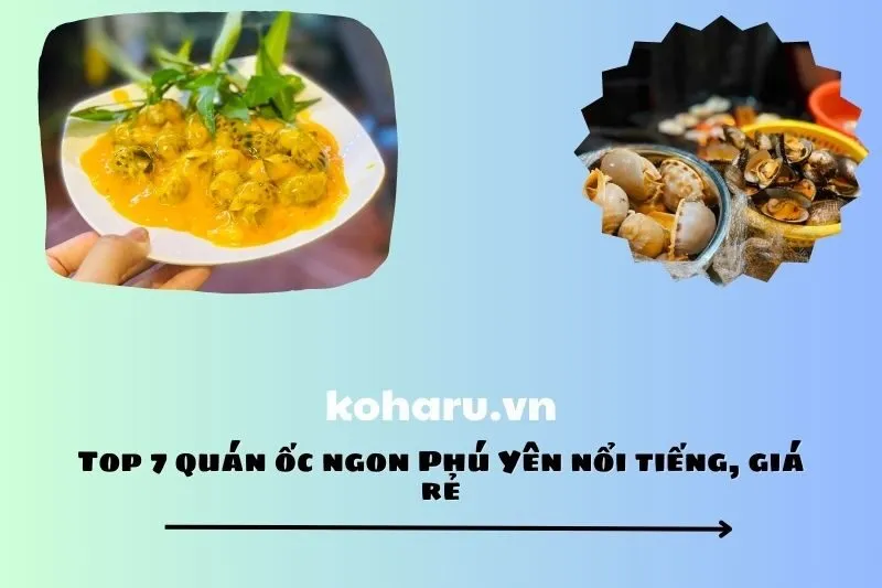 Top 7 quán ốc ngon Phú Yên nổi tiếng, giá rẻ