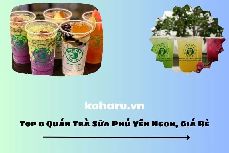 Top 8 Quán Trà Sữa Phú Yên Ngon, Giá Rẻ