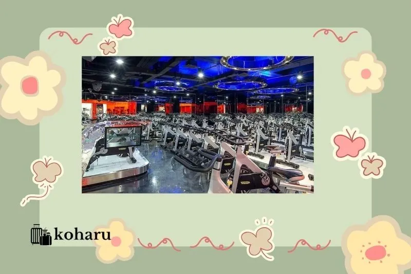 CLB thể hình Olympia - Phú Yên