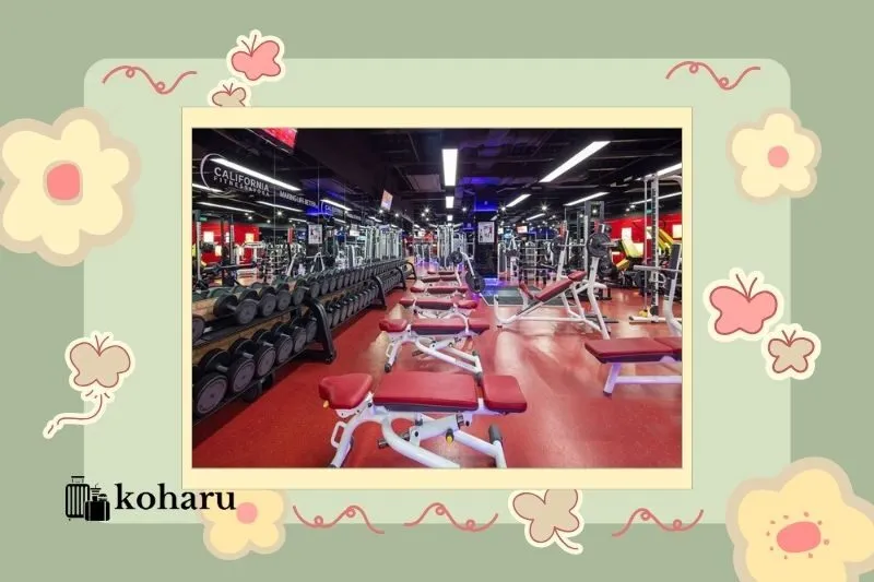 Phòng tập gym Châu Tạ