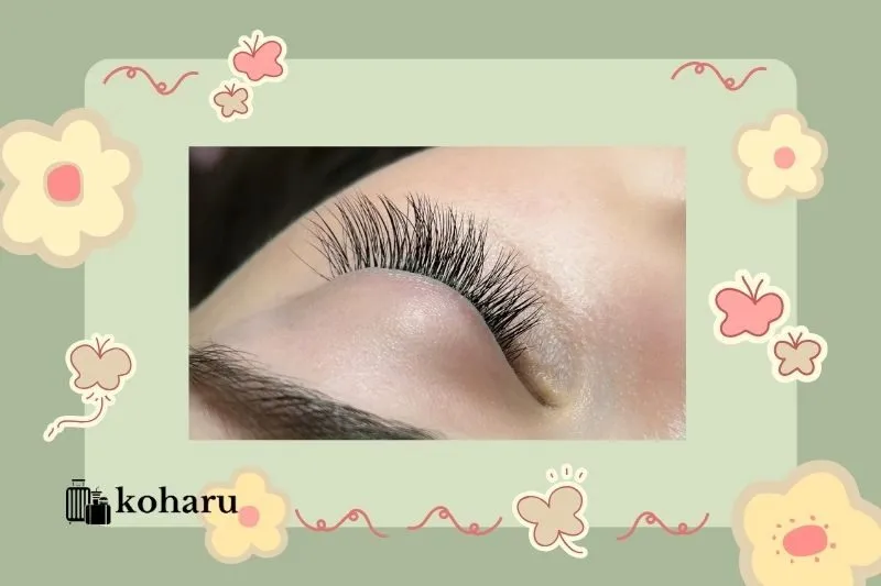 Thục Tâm Nối Mi