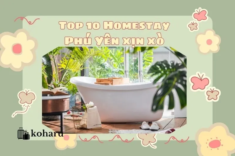 Top 10 Homestay Phú Yên xịn xò: Giá rẻ, view đẹp, gần biển 2025