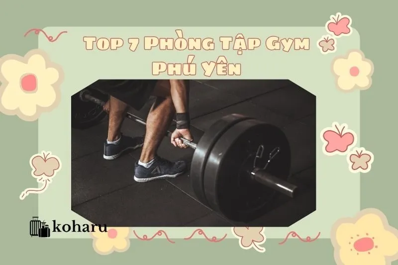 Top 7 Phòng Tập Gym Phú Yên: Đầy Đủ, Chất Lượng 2025