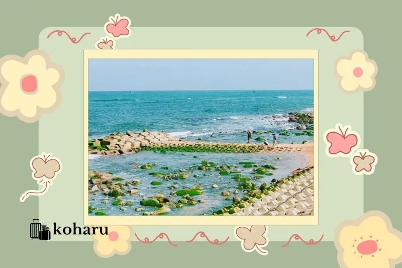 Bãi biển Tuy Hòa – Vẻ đẹp hoang sơ ngay gần Xóm Rớ