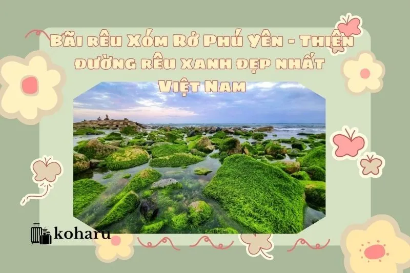 Bãi rêu Xóm Rớ Phú Yên – Thiên đường rêu xanh đẹp nhất Việt Nam