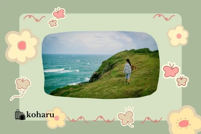 Bãi Xép – Cảnh đẹp nổi tiếng trong phim Tôi thấy hoa vàng trên cỏ xanh