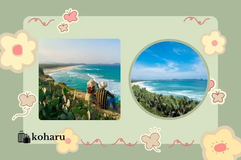 Bãi Xép Phú Yên có gì đẹp? Hướng dẫn du lịch chi tiết từ A-Z