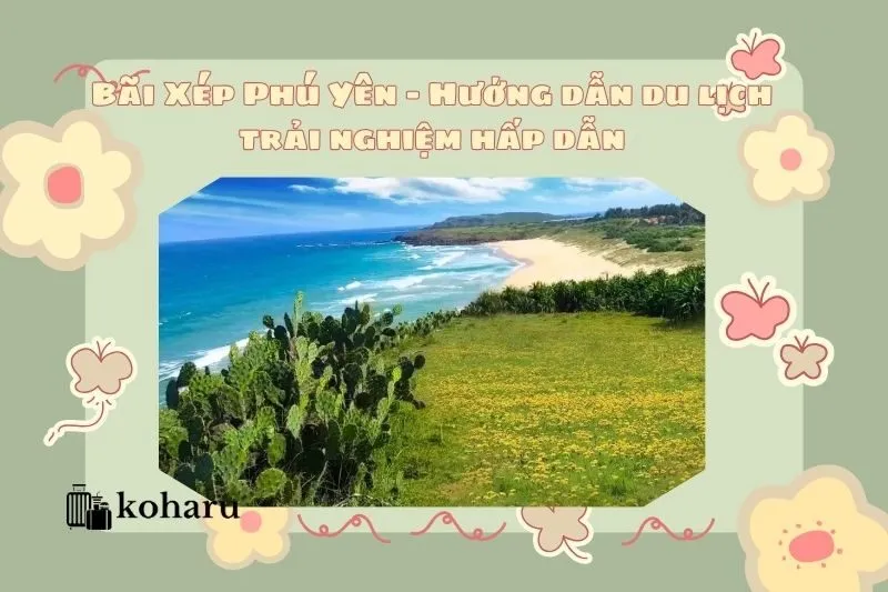 Bãi Xép Phú Yên - Hướng dẫn du lịch trải nghiệm hấp dẫn