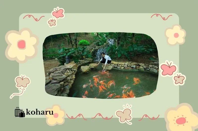 Các điểm du lịch gần Nhất Tự Sơn nên khám phá