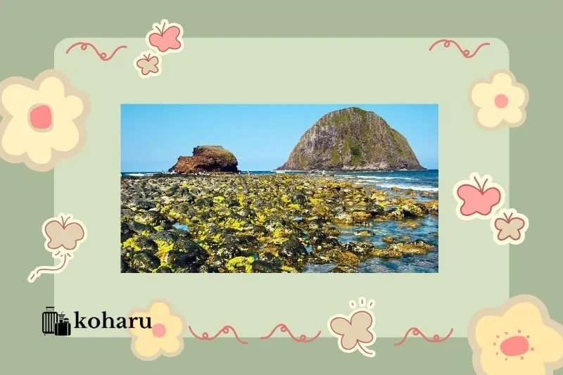 Cách di chuyển đến Hòn Yến Phú Yên thuận tiện nhất