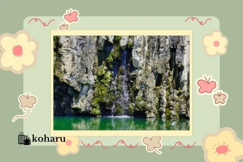 Cảnh quan độc đáo và vẻ đẹp hoang sơ của thác Vực Song