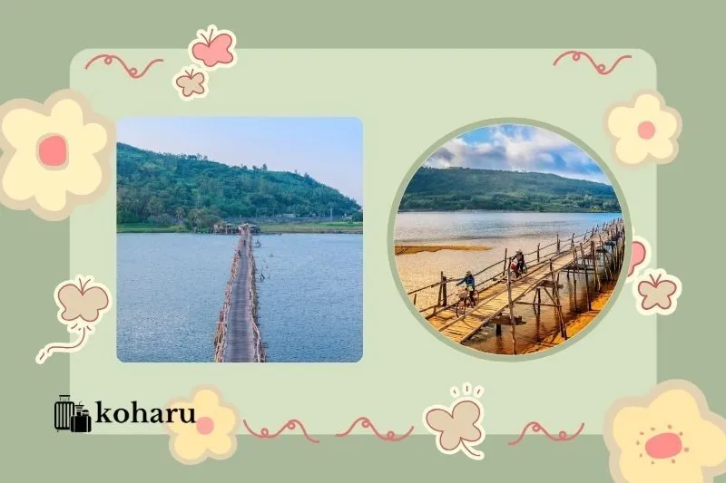 Cầu gỗ Ông Cọp Phú Yên ở đâu? Hướng dẫn đường đi chi tiết