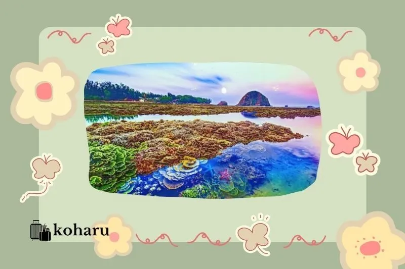 Check-in tại Bãi Xép – Điểm đến không thể bỏ qua gần Hòn Yến