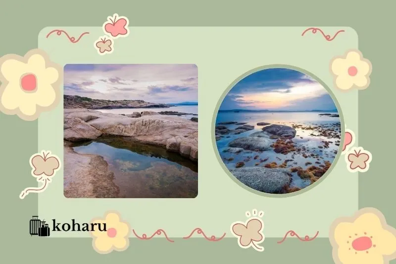 Cù Lao Mái Nhà Phú Yên ở đâu? Cách đi đến đảo như thế nào?