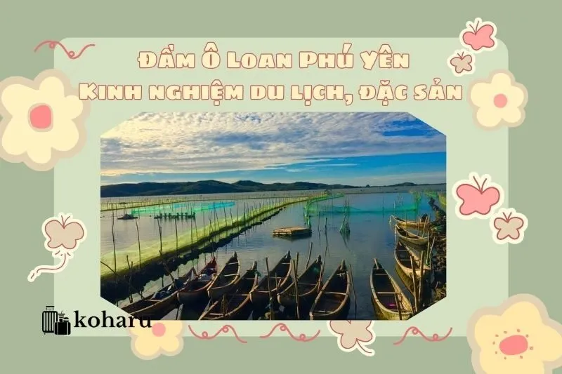 Đầm Ô Loan Phú Yên: Kinh nghiệm du lịch, đặc sản và check-in