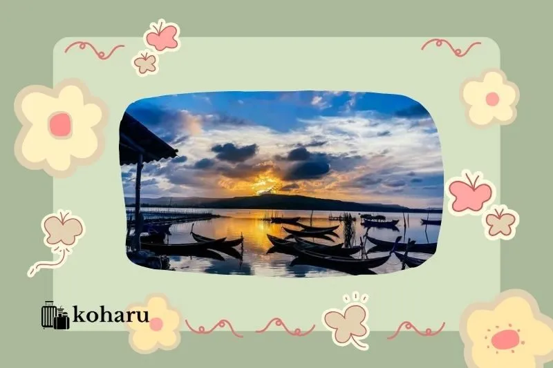 Đầm Ô Loan – Vùng nước lặng thơ mộng với đặc sản sò huyết trứ danh