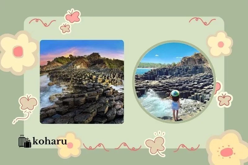 Ghềnh Đá Đĩa Phú Yên – Tuyệt Tác Thiên Nhiên Độc Đáo Của Miền Trung