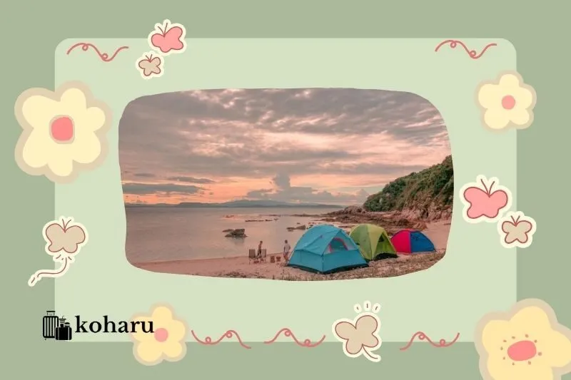 Gợi ý lịch trình khám phá Cù Lao Mái Nhà trong 2 ngày 1 đêm