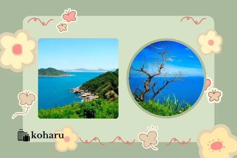 Hòn Nưa Phú Yên Đẹp Tuyệt vời