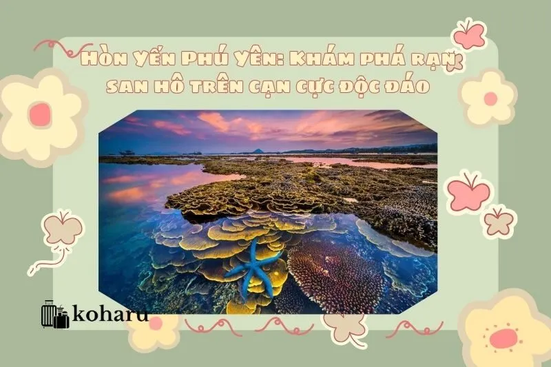 Hòn Yến Phú Yên: Khám phá rạn san hô trên cạn cực độc đáo
