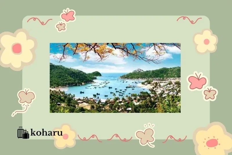 Hướng dẫn di chuyển đến Vịnh Xuân Đài Phú Yên