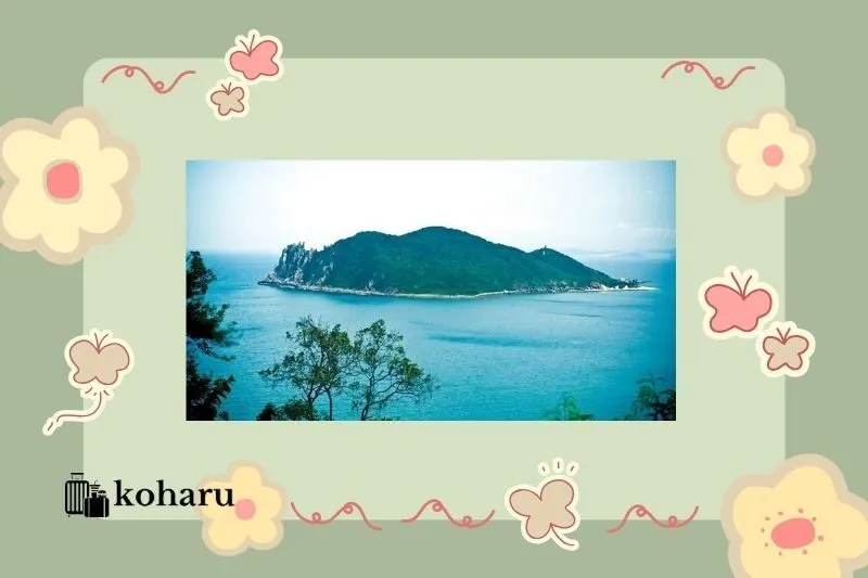 Kinh Nghiệm Du Lịch Hòn Nưa Phú Yên