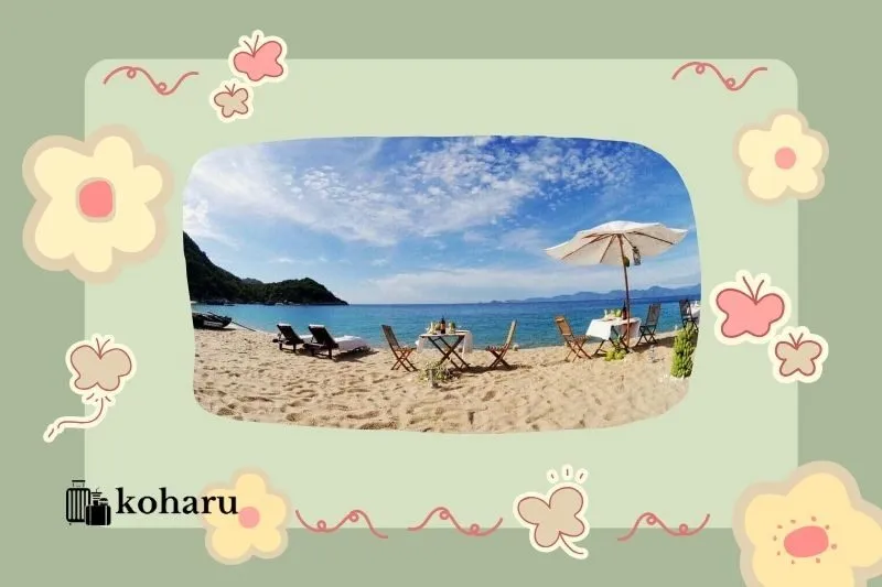 Kinh nghiệm du lịch Vịnh Xuân Đài Phú Yên