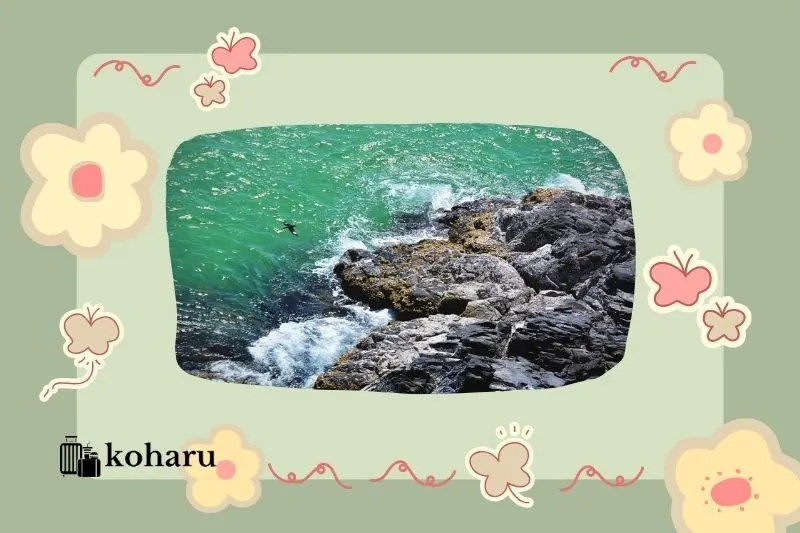 Kinh nghiệm lưu trú khi đi du lịch Bãi Xép Phú Yên