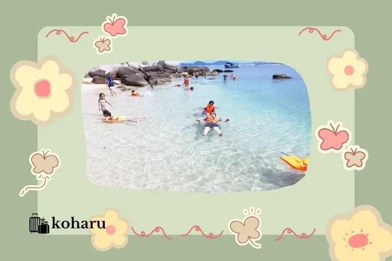 Một Số Lưu Ý Khi Du Lịch Hòn Nưa