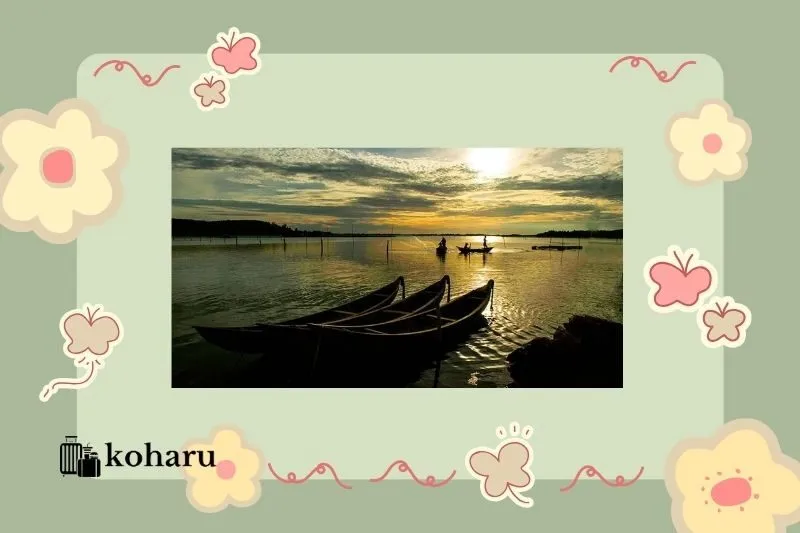 Nên khám phá Đầm Ô Loan Phú Yên vào thời điểm nào?