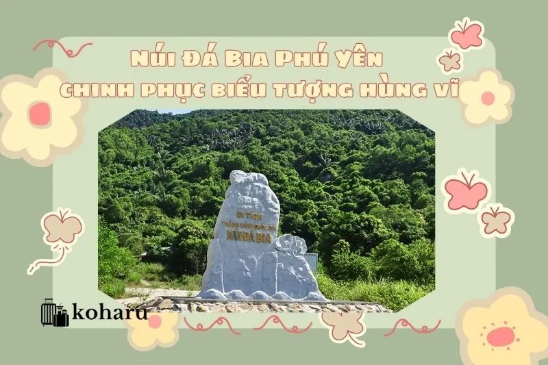 Núi Đá Bia Phú Yên – Hành trình chinh phục biểu tượng hùng vĩ