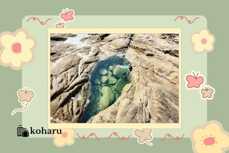 Tắm biển và ngắm san hô ở bãi trước