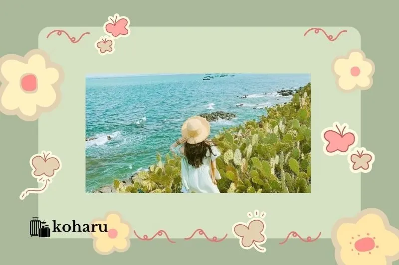 Thời điểm đẹp nhất để đi Bãi Xép Phú Yên