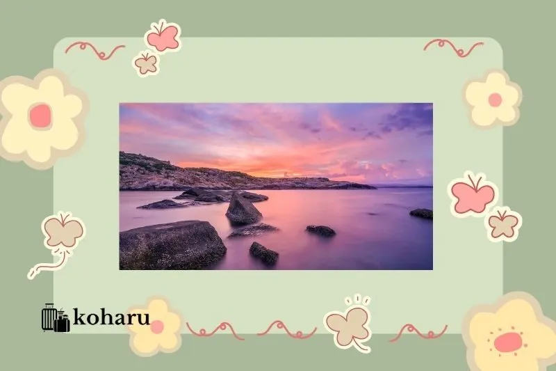 Thời điểm đẹp nhất để du lịch Cù Lao Mái Nhà