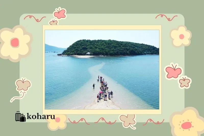 Trải nghiệm du lịch tại Đảo Nhất Tự Sơn Phú Yên