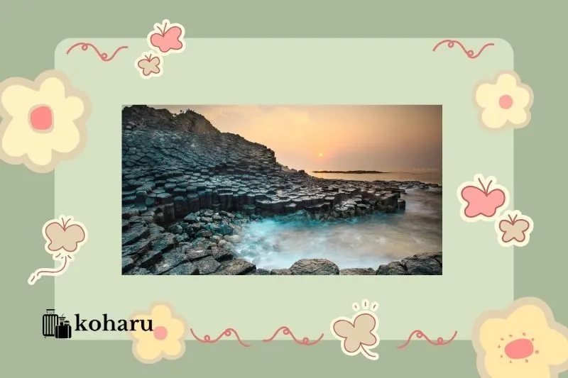 Vì sao Ghềnh Đá Đĩa là địa điểm du lịch nổi bật ở Phú Yên?