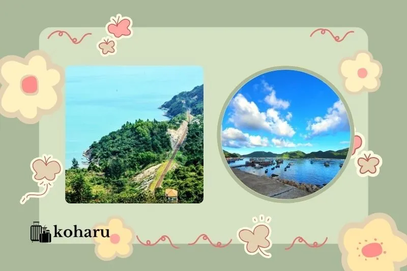 Vịnh Vũng Rô Phú Yên ở đâu và cách đi như thế nào?