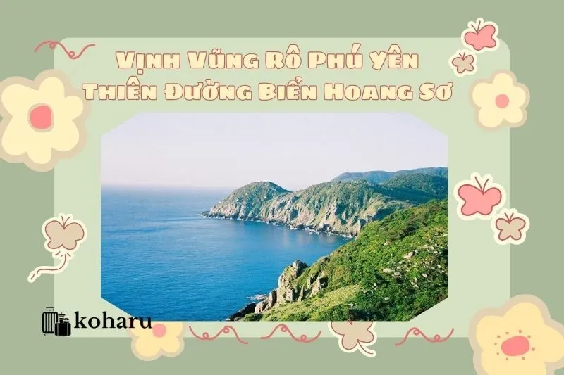 Vịnh Vũng Rô Phú Yên: Thiên Đường Biển Hoang Sơ