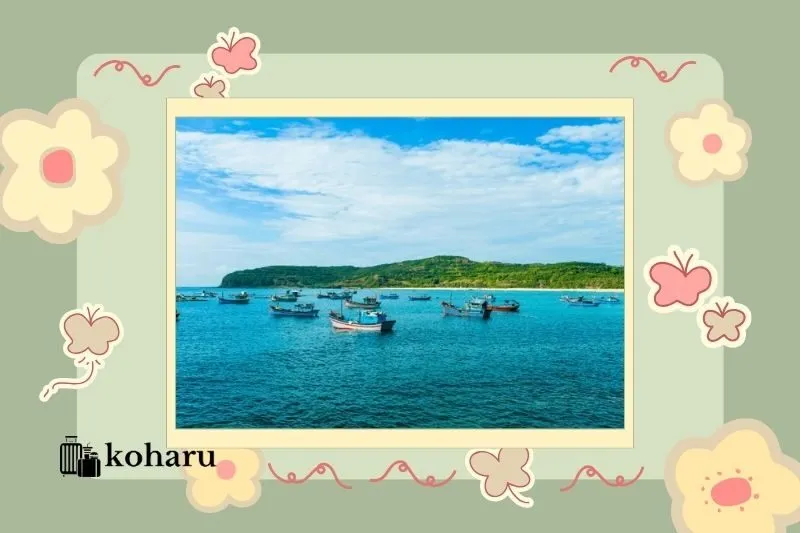 Vịnh Vũng Rô – Vẻ đẹp hoang sơ với biển xanh và hệ sinh thái phong phú