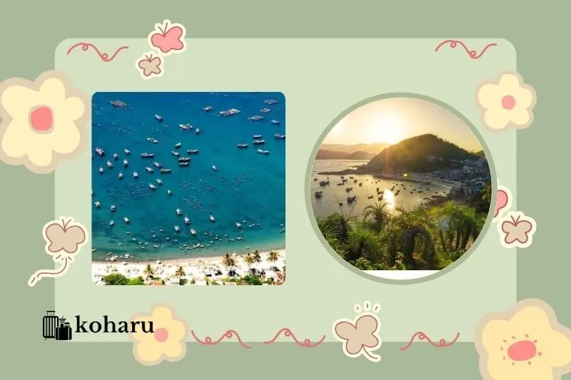 Vịnh Xuân Đài Phú Yên nằm ở đâu và có gì đặc biệt?