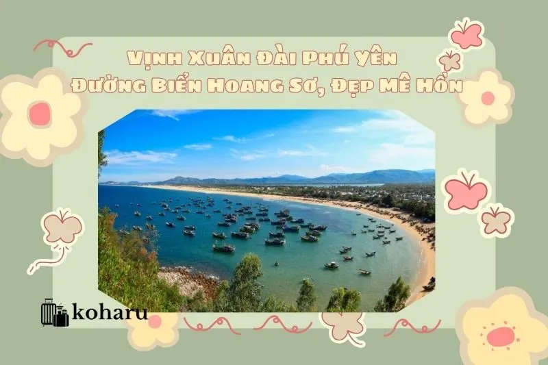 Vịnh Xuân Đài Phú Yên – Thiên Đường Biển Hoang Sơ, Đẹp Mê Hồn