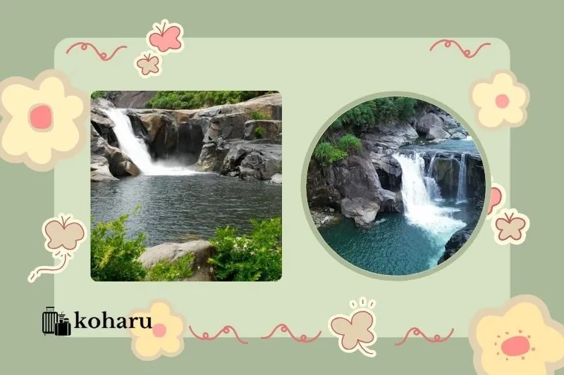 Vực Phun Phú Yên Ở Đâu? Hướng Dẫn Đường Đi Chi Tiết