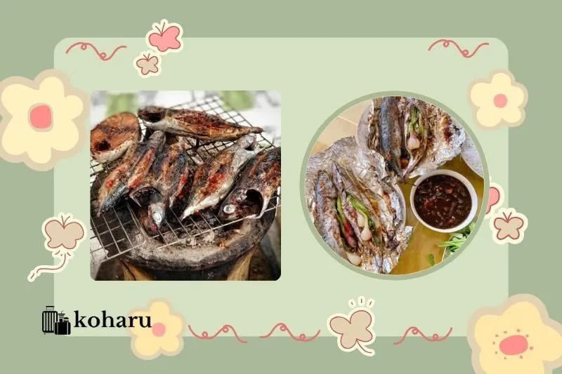 Cá Ồ Phú Yên là gì?