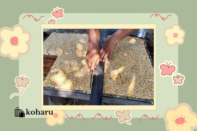 Cốm nếp Phong Hậu trong văn hóa ẩm thực Việt Nam