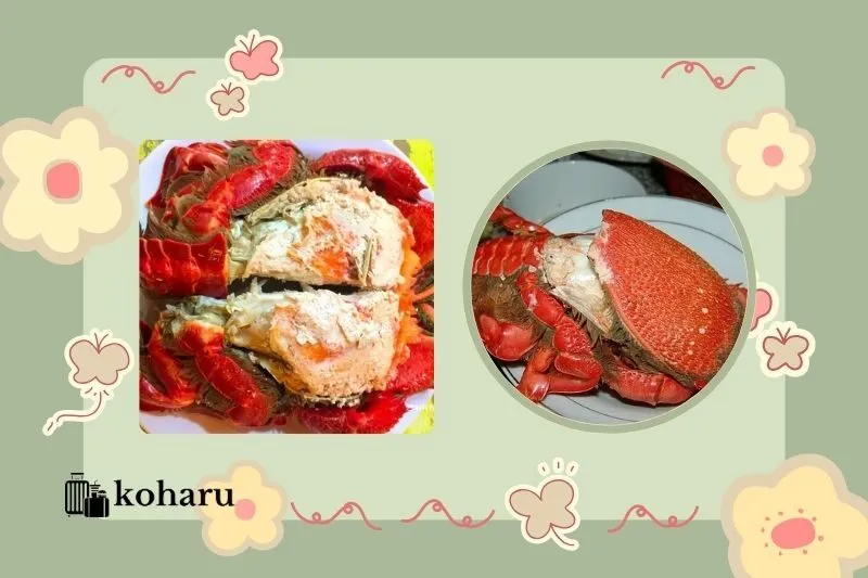 Cua Huỳnh Đế Phú Yên là gì?