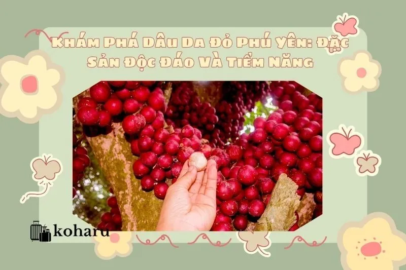 Khám Phá Dâu Da Đỏ Phú Yên: Đặc Sản Độc Đáo Và Tiềm Năng
