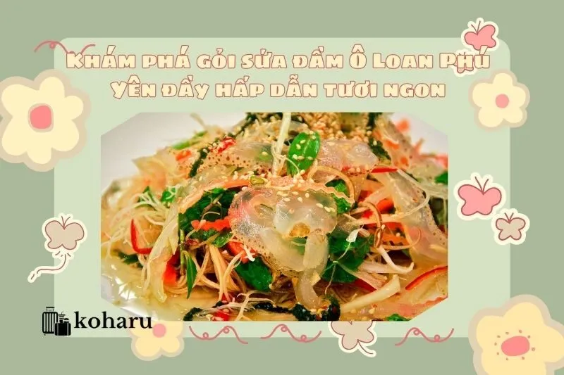 Khám phá gỏi sứa đầm Ô Loan Phú Yên đầy hấp dẫn tươi ngon