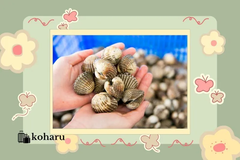 Kinh nghiệm chọn sò huyết tươi ngon