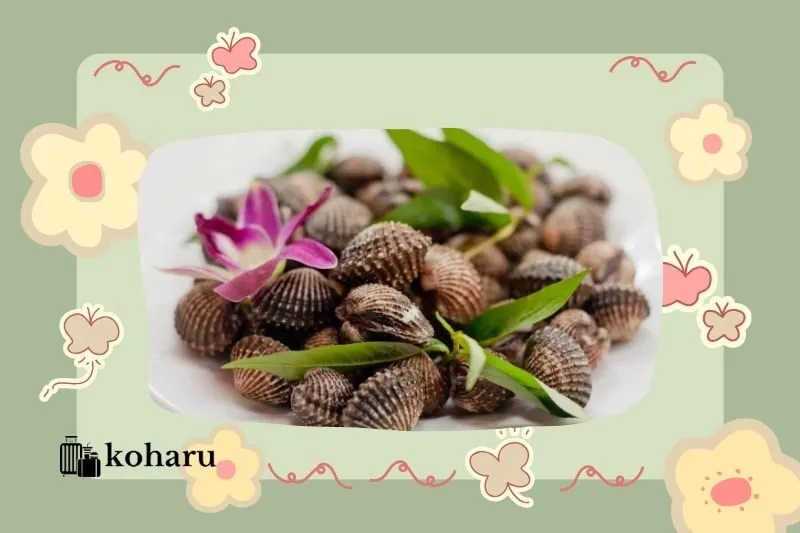 Kinh nghiệm du lịch Phú Yên